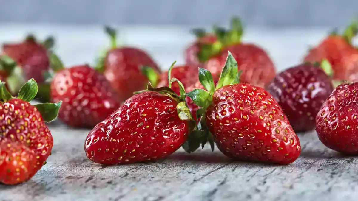 Miten mansikoita ja mansikkakasveja säilytetään niin, että ne säilyvät kotona pidempään pilaantumatta?