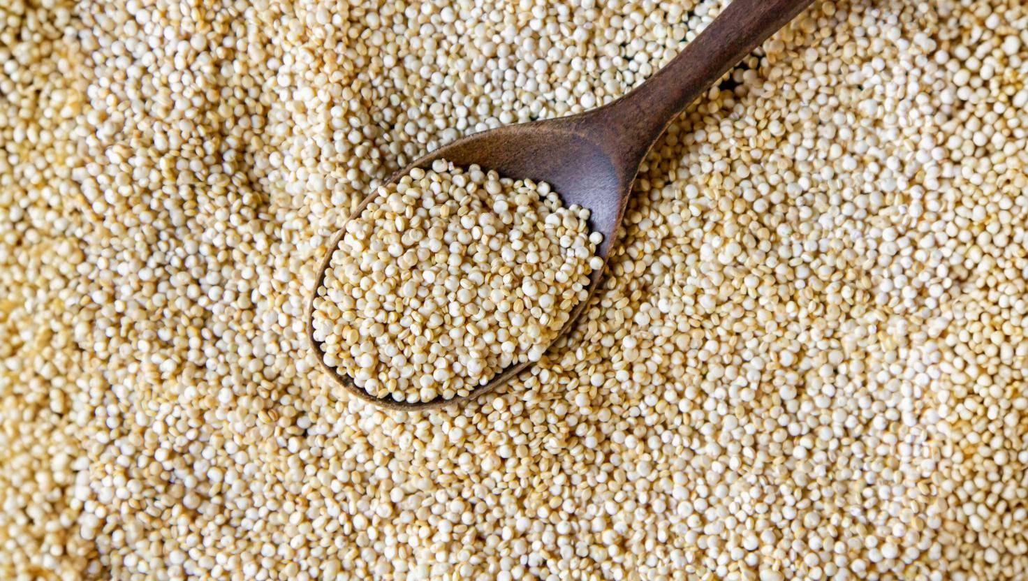 Tiesitkö, että joissakin siemenissä on enemmän proteiinia kuin lihassa?