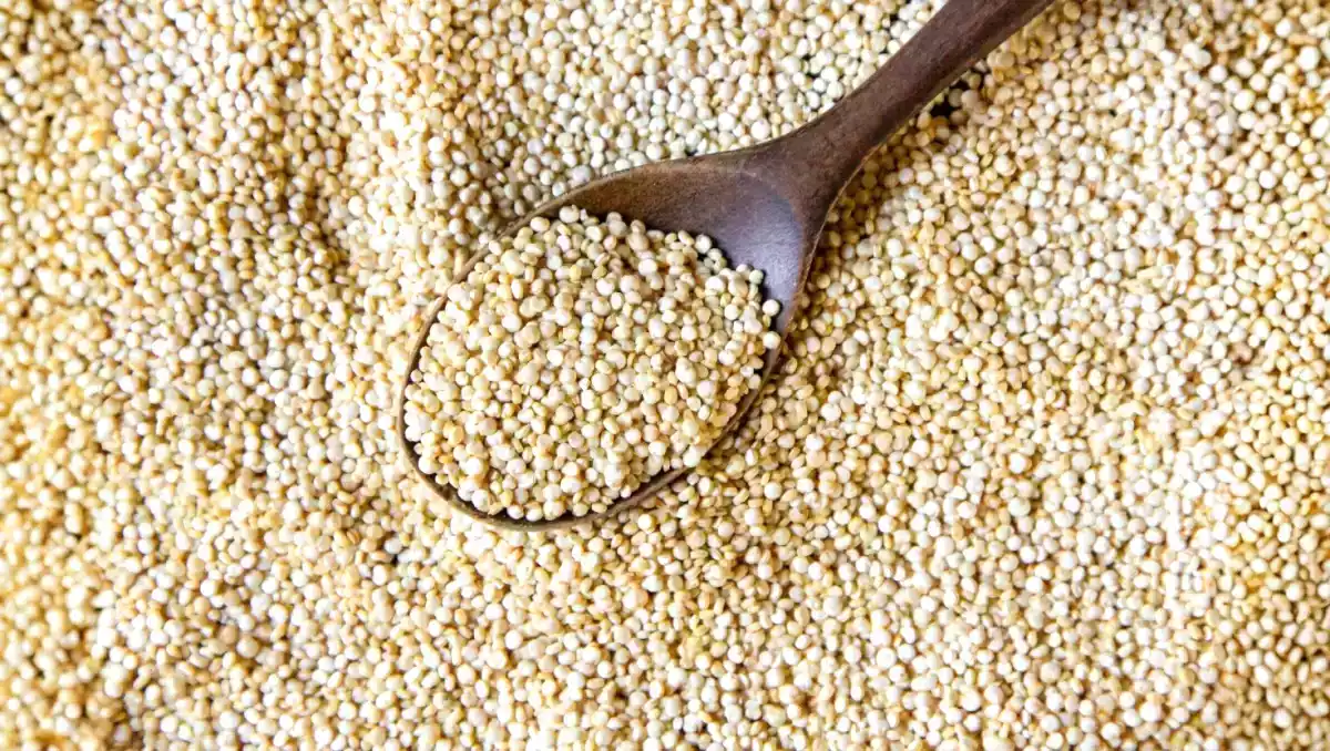 Tiesitkö, että joissakin siemenissä on enemmän proteiinia kuin lihassa?