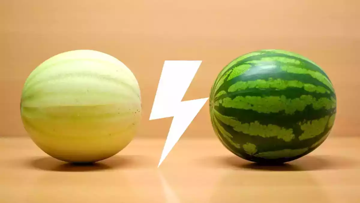 Meloni vs. vesimeloni: kumpi nesteyttää paremmin?