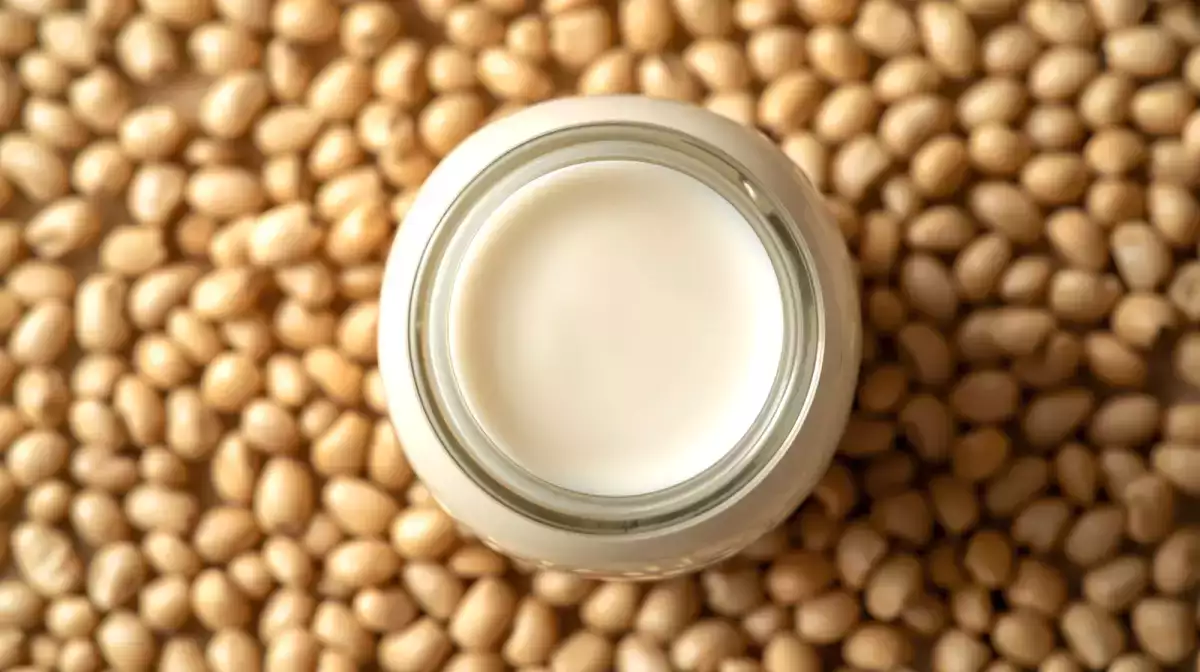 Mikä kasvipohjainen maito on terveellisin? Käydään läpi!