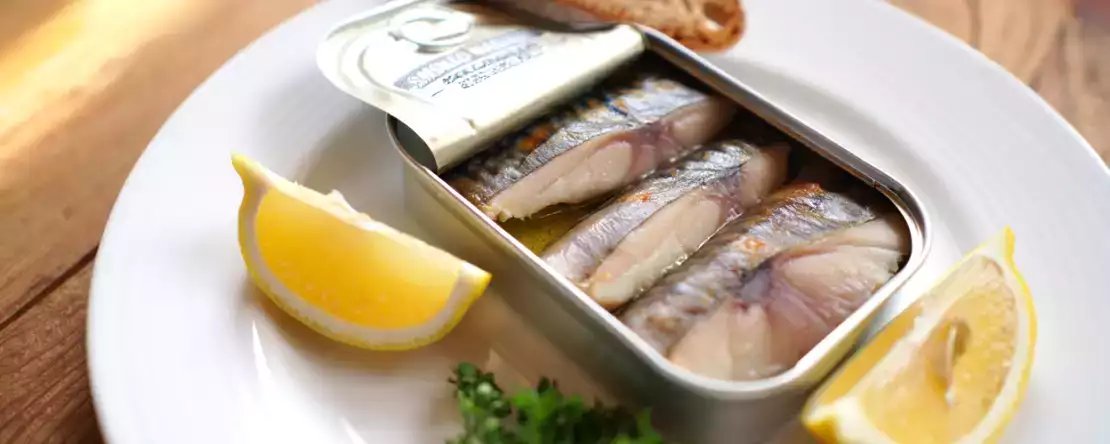 Onko makrillisäilykkeet hyväksi terveydelle? Kaikki sen edut mikroskoopin alla