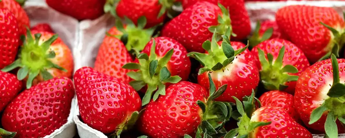 Voit siis säilyttää mansikat pidempään!