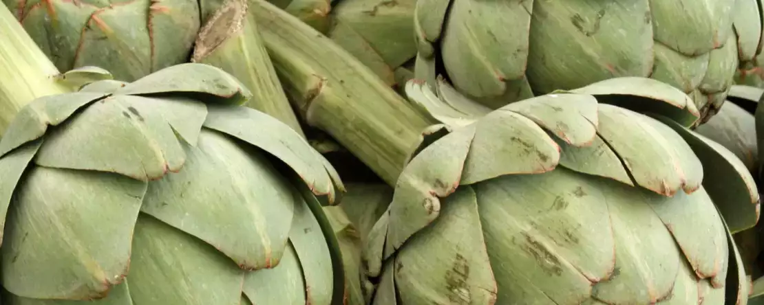 Miten keittää artisokkia mikroaaltouunissa nopeasti ja turvallisesti