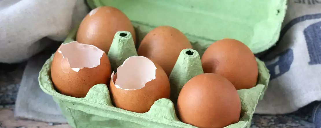 Teet tämän munankuorilla, etkä voi kuvitellakaan, millaisen riskin voisit ottaa keittiössä...