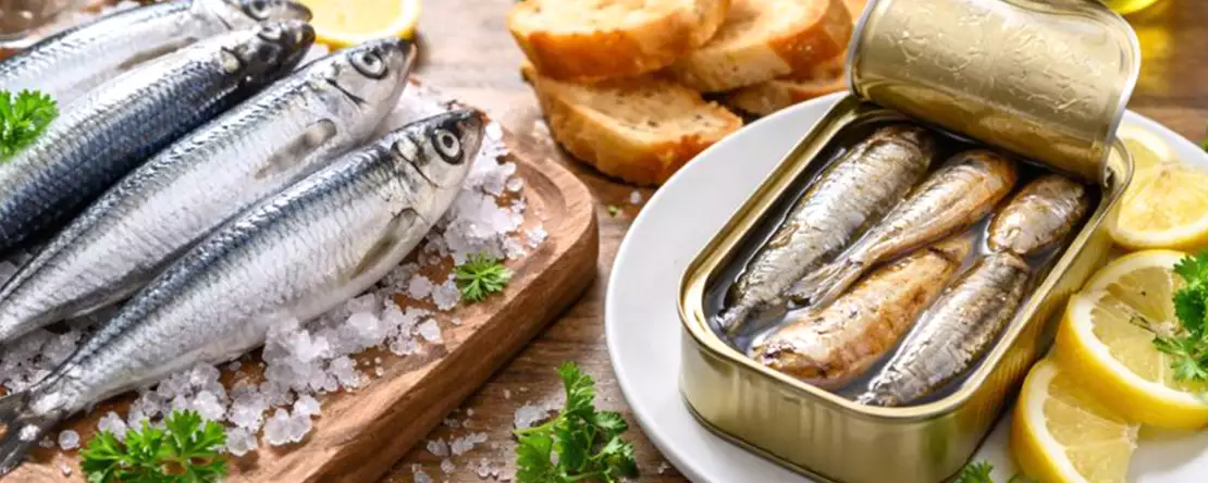 Tuoreet ja säilötyt sardiinit: kaikki, mitä sinun on ymmärrettävä ennen kuin päätät, mitä syöt pöydällesi.