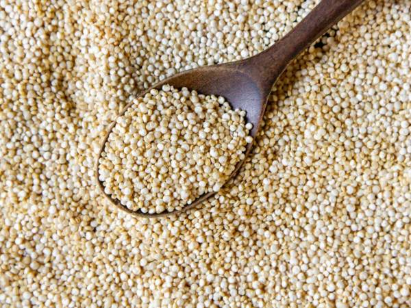Tiesitkö, että joissakin siemenissä on enemmän proteiinia kuin lihassa?