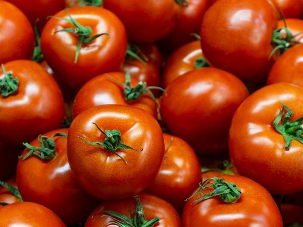 Kestävätkö tomaatit pidempään? Tässä 5 vinkkiä, jotka todella toimivat