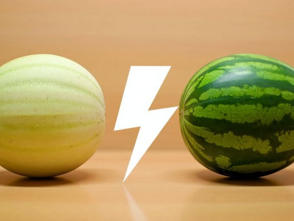 Meloni vs. vesimeloni: kumpi nesteyttää paremmin?