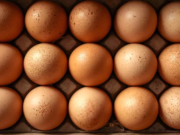 Proteiinia, kolesterolia, energiaa... mitä tapahtuu, jos syöt kananmunia joka päivä?