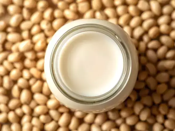 Mikä kasvipohjainen maito on terveellisin? Käydään läpi!