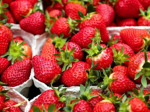 Voit siis säilyttää mansikat pidempään!