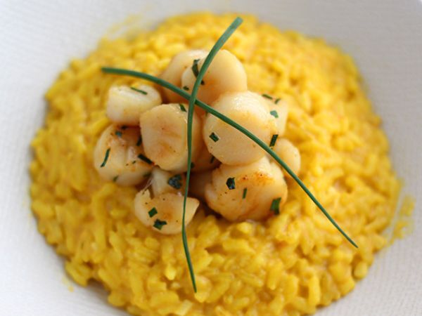 Resepti Kampasimpukoiden risotto sahramin kera