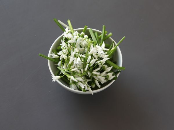 Karhun valkosipulipesto, tuoksuva ja supermaukas! - Valmistelu askel 1