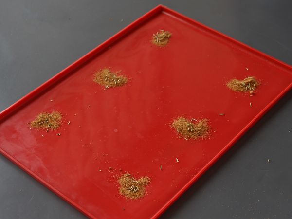 Aprikoositartelettes tatin, nopea jälkiruoka, kun sinulla on vieraita! - Valmistelu askel 3