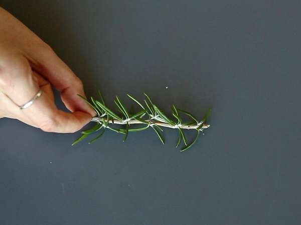 Cocktail, jonka sisällä on lumen peittämä kuusi - Valmistelu askel 1