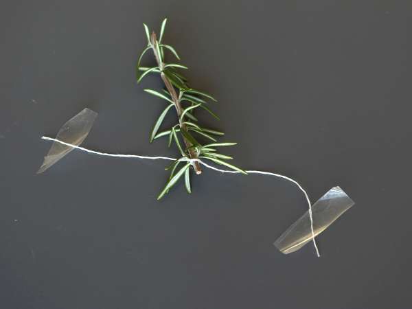 Cocktail, jonka sisällä on lumen peittämä kuusi - Valmistelu askel 3