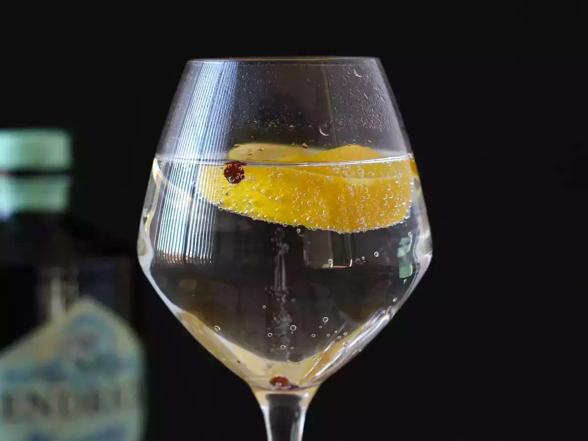 Gin Tonic, olennainen aperitiivicocktail! - kuva 2