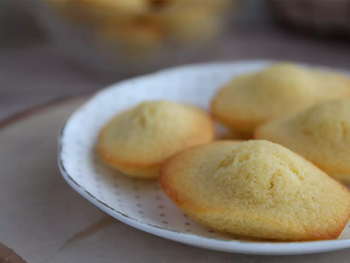 Helppo resepti pehmeisiin madeleine-leivoksiin - kuva 4