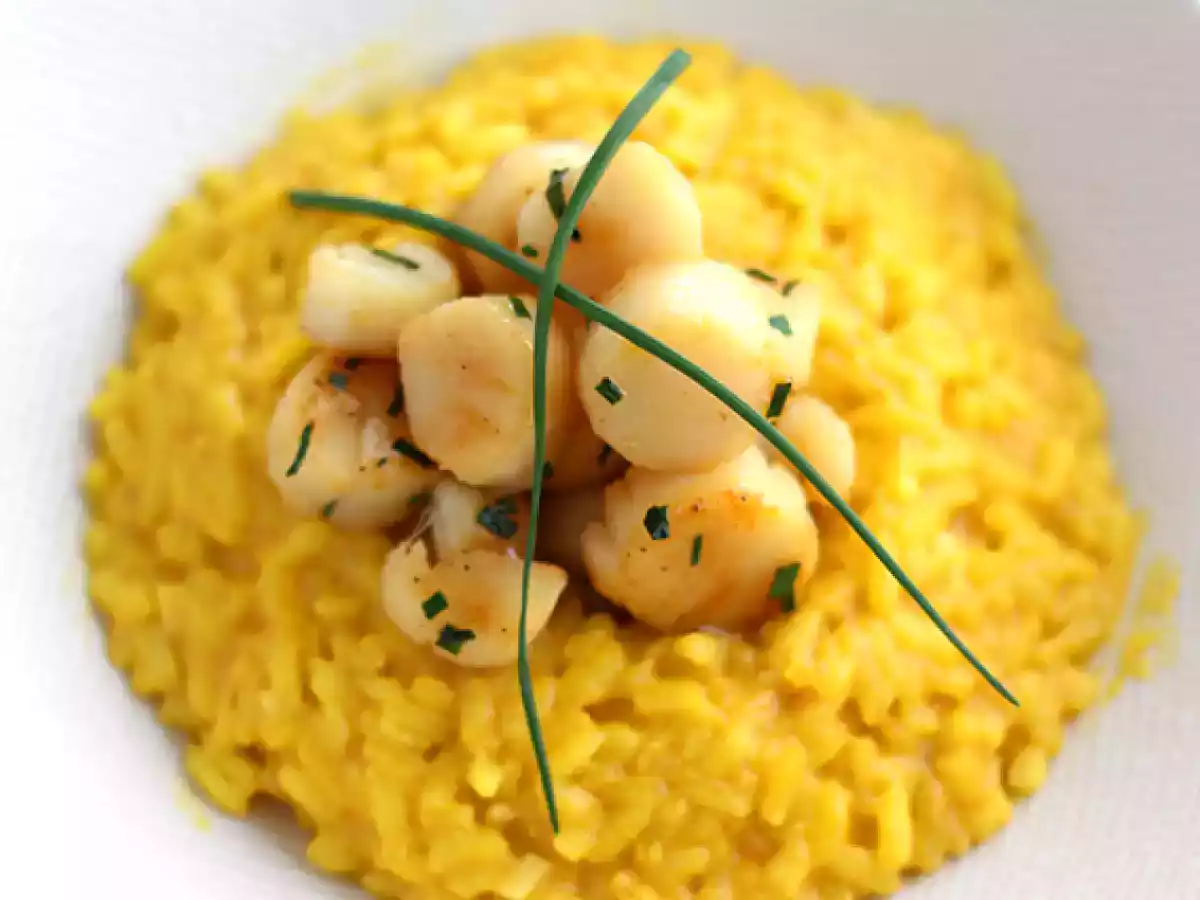 Kampasimpukoiden risotto sahramin kera