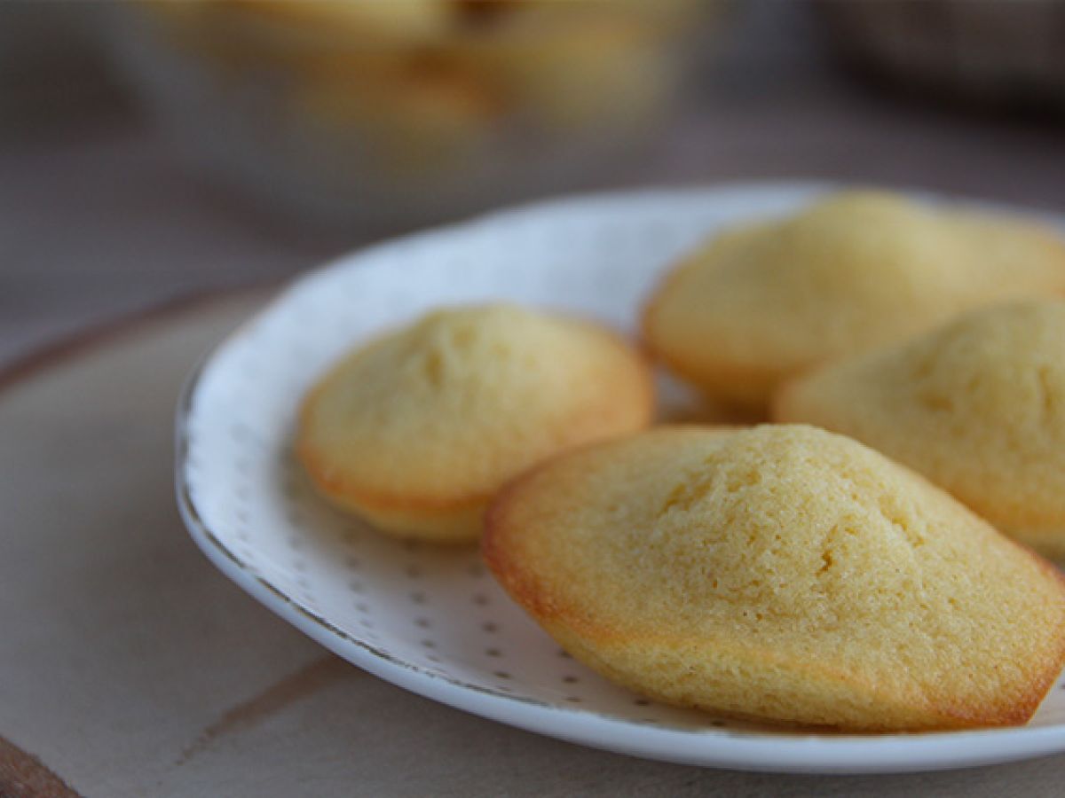 Tavalliset Madeleines - kuva 4