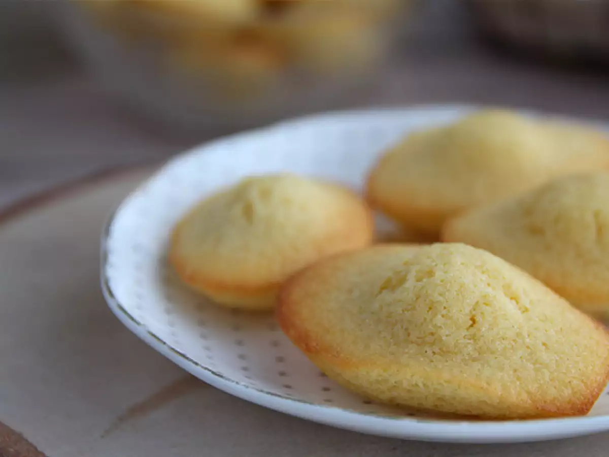 Tavalliset Madeleines - kuva 4