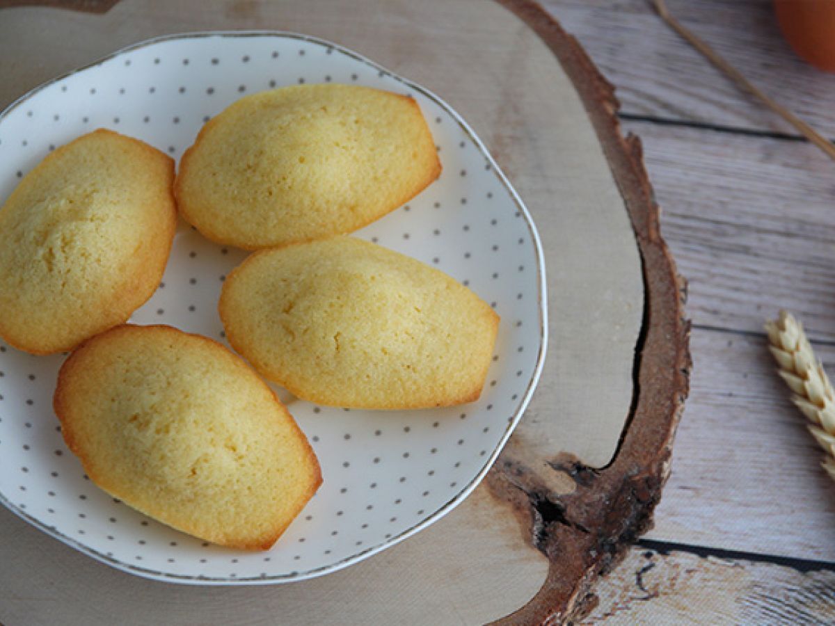 Tavalliset Madeleines - kuva 6